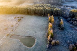 Lrytas.lt fotografo kadruose pirmasis šiais metais šerkšnas ir jo nubalinta Lietuva