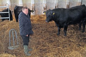 K.Starkevičius apie siekį tirti padėtį žemės ūkyje: tai politinė archeologija