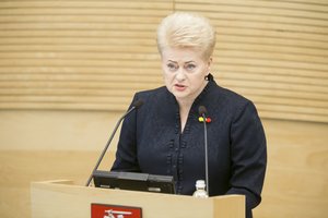 Konstituciniam Teismui D. Grybauskaitė linki išlikti objektyviam