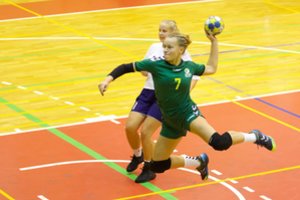 Janio Grinbergo atminimo rankinio turnyre – septynių šalių rinktinės