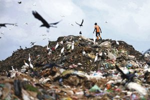 Lenkijoje atskleistas mafijos tinklas: tonomis vežėsi šiukšles iš Vakarų
