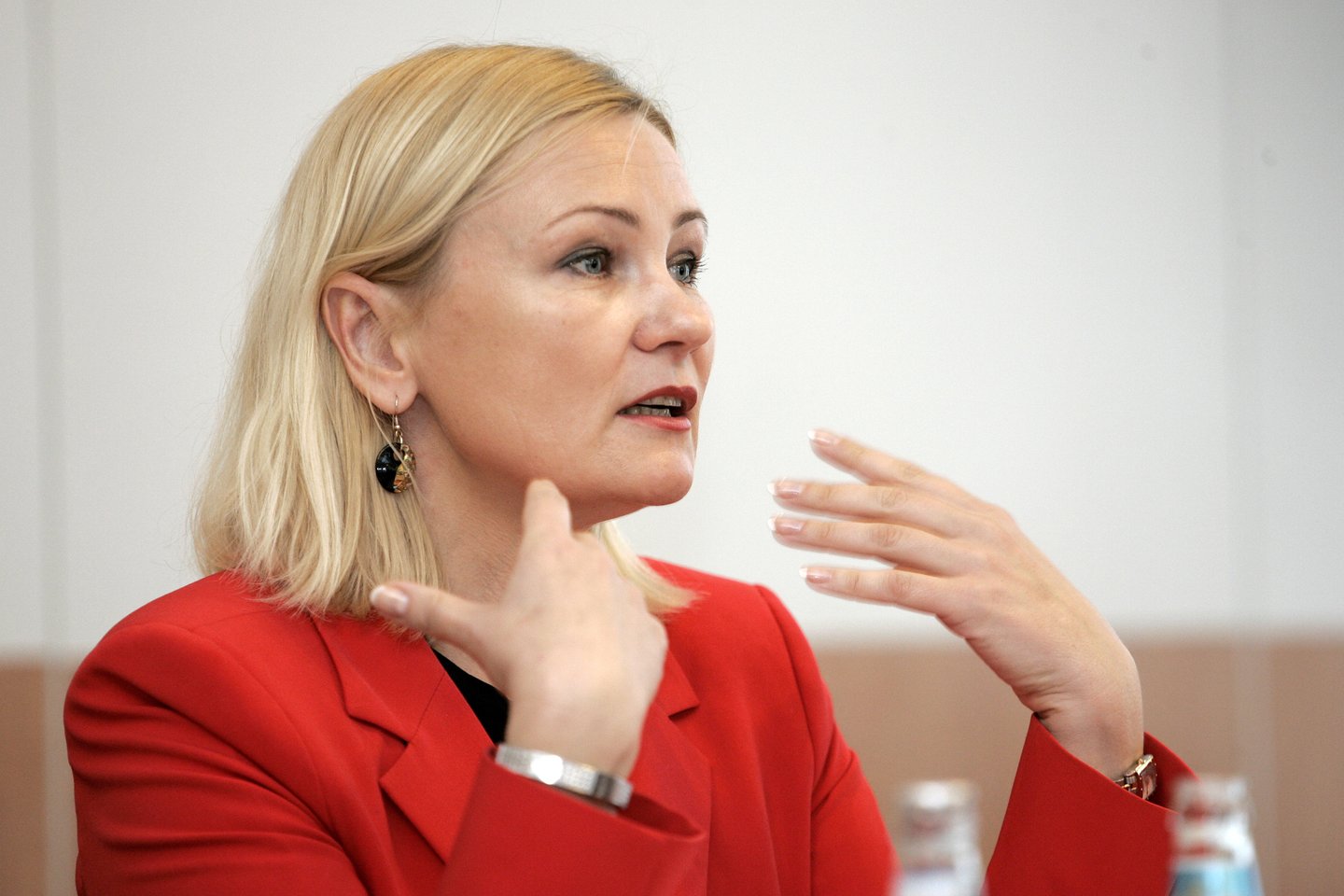„Pagrindinis valdžios siekis – suvienodinti visų pajamas gaunančių asmenų Sodros ir sveikatos draudimo įmokų tarifus“, – sakė R.Vainienė.