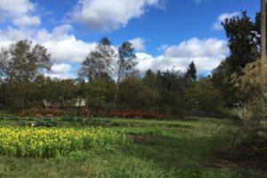 Mokytojavusi 40 metų sugrįžo į protėvių žemę: rūpi ne pinigai, o atmintis