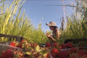 Net trys kino kūrėjų kartos atstovauja Lietuvai Čekijos kino festivalyje