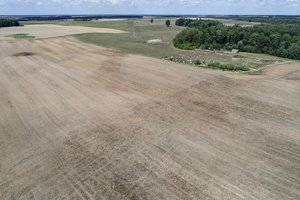 NŽT kviečia atsiliepti tūkstančius žmonių dėl žemės teisių atkūrimo