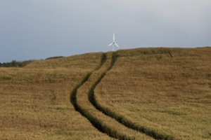 Javų supirkimas per metus smuko beveik keturis kartus