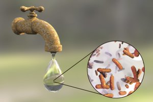 Perspėja apie pavojingą ligą: plinta per vandenį, vaistų nėra