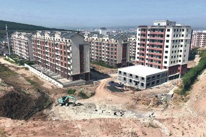 Statybvietėje darbininkų laukė siurprizas: netyčia rado 100 mln. metų vertybę