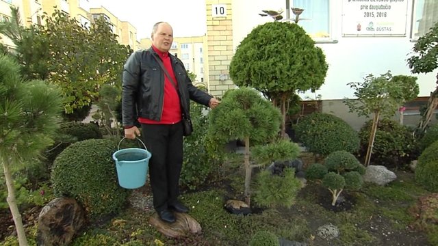 Į pensiją išėjęs pareigūnas atrado naują pašaukimą – kuria japoniškus sodus