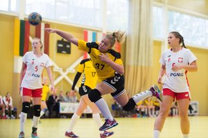 Lietuvos rankinio patriarcho J. Grinbergo atminimo turnyre Vilniuje – septynių valstybių atstovai 