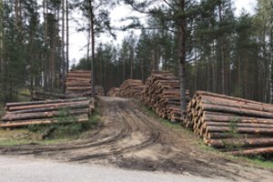 Kirtaviečių siūlant nebelaikyti mišku – perspėjimai dėl žemės paskirties keitimo 