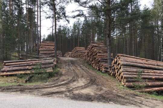 Kirtaviečių siūlant nebelaikyti mišku – perspėjimai dėl žemės paskirties keitimo 