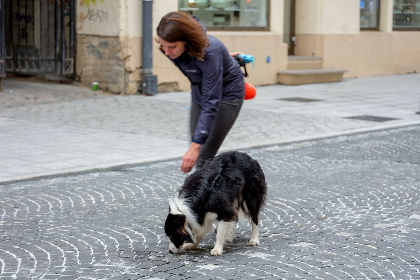 Šunų priežiūra.<br>V.Ščiavinsko nuotr.