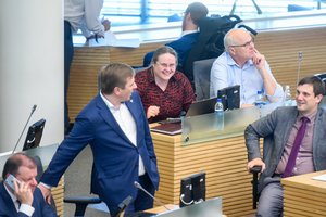 Politologas: susiskaldžiusi opozicija neišnaudoja valstiečių klaidų