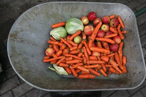 Pasimokiau – svogūnų lukštų nebeišmetu: ypač praverčia rudenį