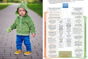 Kas vyksta gavus pranešimą apie galimą vaiko teisių pažeidimą: veiksmų seka