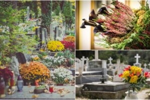 Gyvos ar dirbtinės gėlės – ką ir kodėl aš renkuosi Vėlinėms, o jūs?