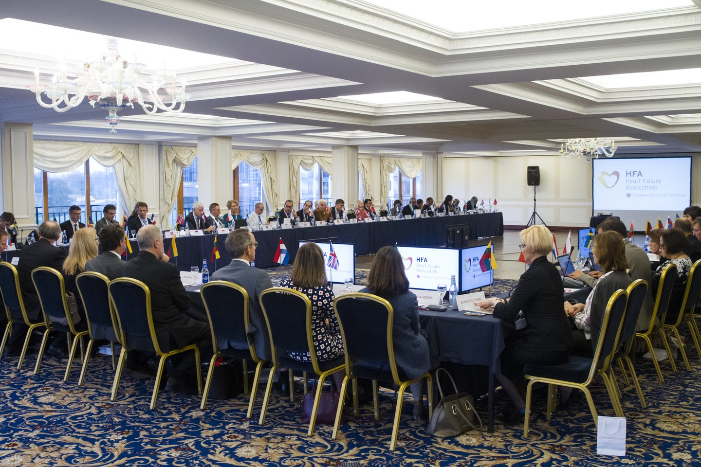   Savaitgalį Vilniuje vykusio aukščiausio lygio Europos Nacionalinių širdies asociacijų atstovų susitikimo akimirkos.