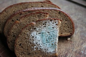 Rudens nemalonumai – pelėsis ant duonos. Kaip ją saugoti