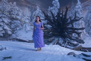 Vėlinių dieną Lietuvos kino teatruose startuoja kalėdinė pasaka