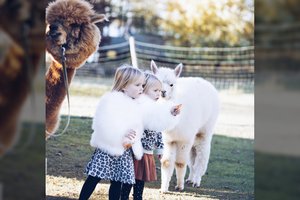 Dvynių konkurse „Twins Peak 2018” mados podiumu žingsniuos dvynukai ir trynukai