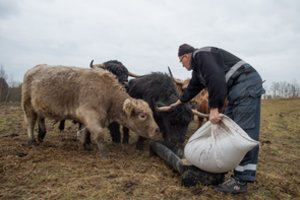 Valdžiai fantazijos netrūksta – išmetė dar vieną idėją, kaip mažinti kainas