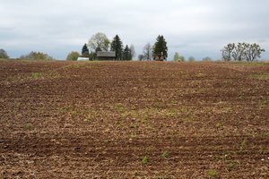 Seimas: žemės grąžinimas nebus perduotas Aplinkos ministerijai