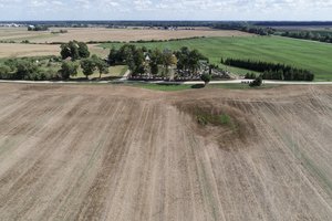 Paimamą žemę norima kompensuoti miškų plotais