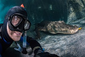 Vyro pokštas aligatorių fermoje vos nesibaigė tragedija