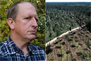 Kilus skandalui dėl kertamų miškų prabilo gamtosaugininkas: ateityje kaltinimų daugės
