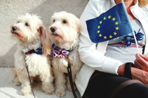 Britams greitai kils bėdų: sienos po „Brexit“ keturkojams gali būti uždarytos