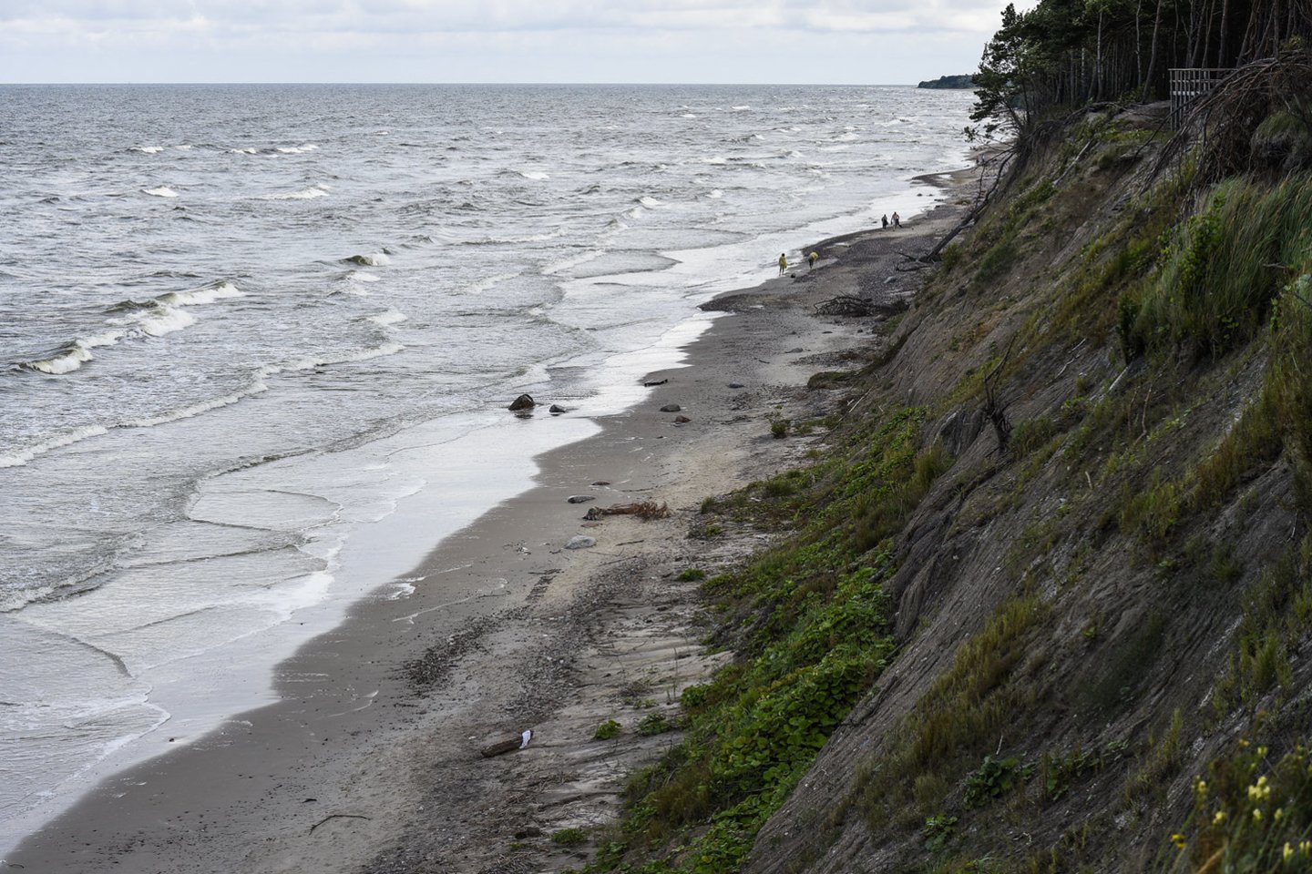 V.Ščiavinsko nuotr.