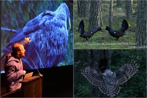 Lietuvos kino teatruose – paskutinė galimybė pamatyti M. Survilos filmą „Sengirė“