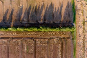 „Ekoagros“ planuoja ekologinės gamybos sertifikavimo įkainių mažinimą