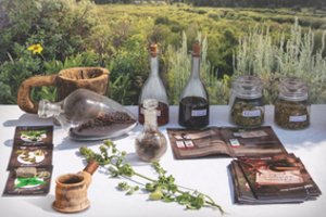 Žolininkas patarė, kada rinktis trinktūrą, o kada – arbatą