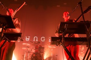 Britų žvaigždės „Jungle“ Vilniuje: puiki muzika pustuštėje salėje