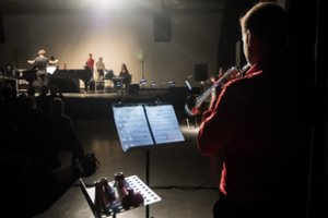 Lietuvos ansamblių tinklas „Gaidoje“: tembrinė muzika „valdo“?