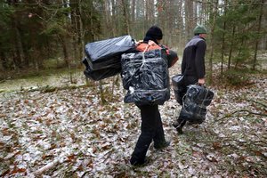 Nelegalių cigarečių pirkėjų gerokai sumažėjo: tam mato svarbią priežastį