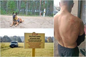 Nuolat pasienyje įkliūnantis vyras: „Pasiklydau miške, o pasieniečių šuo mane sukandžiojo“