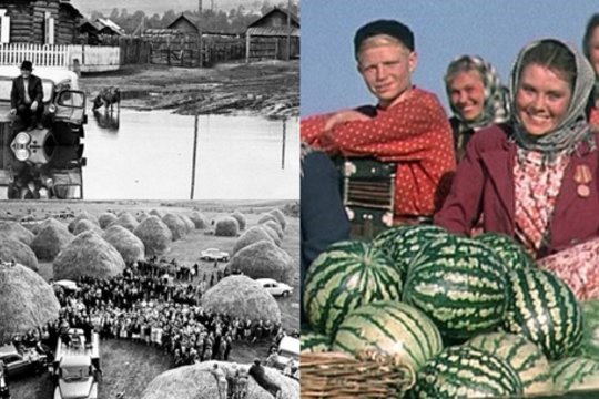 Sovietinių kolūkių košmaras: tai, ko nežinojote, arba jau pamiršote