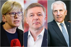 V. Ušackas: realūs galimi prezidentai – I. Šimonytė ir tas žmogus, kurį parems R. Karbauskis
