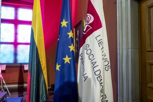 Socialdemokratų advokatė apie VRK tyrimą: remiamasi ne faktais, o prielaidomis