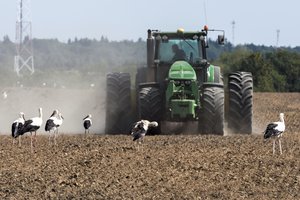 VMI primena sumokėti žemės mokestį: liko dvi dienos