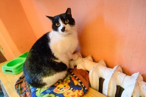 Ukrainoje šimtai tūkstančiai žmonių dėl dujų bendrovių ginčo liko be šildymo