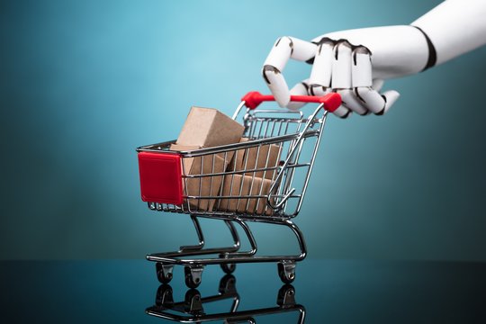 Ar ateityje maistą į namus pristatinės robotai?