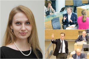 Valdžios darbą įvertinusi politologė įspėjo – valdančiųjų tvirtovė nėra tokia stipri