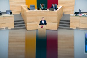 Dveji metai Seimo darbo chaoso vyks ir toliau – pykosi dėl smulkmenų