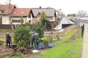Po kelerių metų nepažinsite įvažiavimo į Palangą