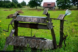 Neramios paieškos atomazga Panevėžyje: augintinį rado tik išgirdusi gailias aimanas
