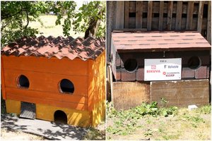 Šie nameliai Biržuose traukia akį ir turi ypatingą prasmę